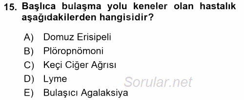 Veteriner Mikrobiyoloji ve Epidemiyoloji 2017 - 2018 3 Ders Sınavı 15.Soru