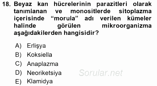 Veteriner Mikrobiyoloji ve Epidemiyoloji 2017 - 2018 3 Ders Sınavı 18.Soru