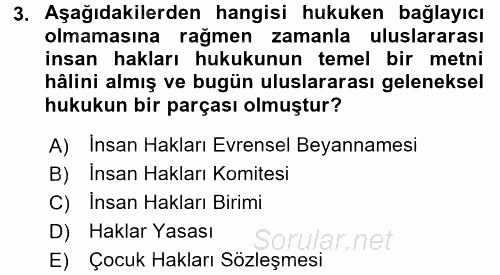 İnsan Hakları ve Demokratikleşme Süreci 2015 - 2016 Dönem Sonu Sınavı 3.Soru