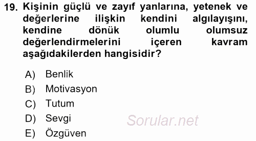 Aile İçi Uyumlu Etkileşim 2016 - 2017 Dönem Sonu Sınavı 19.Soru