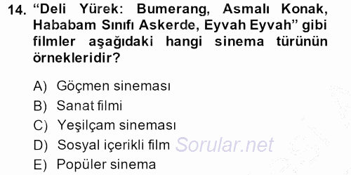 Film ve Video Kültürü 2013 - 2014 Ara Sınavı 14.Soru