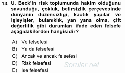 Endüstri Sosyolojisi 2017 - 2018 Dönem Sonu Sınavı 13.Soru