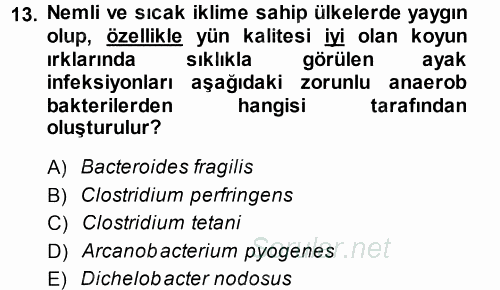 Veteriner Mikrobiyoloji ve Epidemiyoloji 2014 - 2015 Tek Ders Sınavı 13.Soru