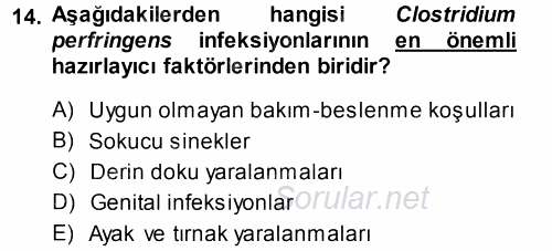 Veteriner Mikrobiyoloji ve Epidemiyoloji 2014 - 2015 Tek Ders Sınavı 14.Soru