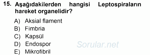 Veteriner Mikrobiyoloji ve Epidemiyoloji 2014 - 2015 Tek Ders Sınavı 15.Soru