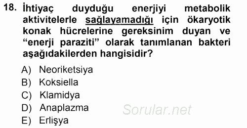 Veteriner Mikrobiyoloji ve Epidemiyoloji 2014 - 2015 Tek Ders Sınavı 18.Soru