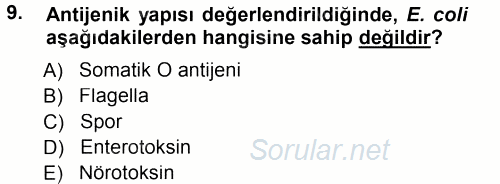 Veteriner Mikrobiyoloji ve Epidemiyoloji 2014 - 2015 Tek Ders Sınavı 9.Soru