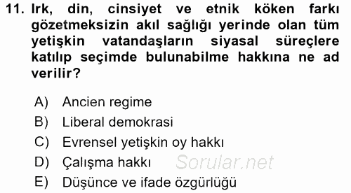 İnsan Hakları ve Demokratikleşme Süreci 2016 - 2017 Dönem Sonu Sınavı 11.Soru