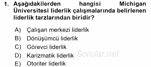 Organizasyonlarda Davranış 2015 - 2016 Ara Sınavı 1.Soru