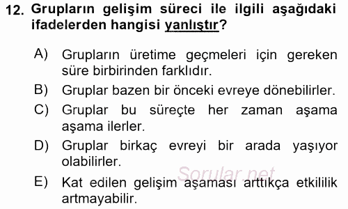 Organizasyonlarda Davranış 2015 - 2016 Ara Sınavı 12.Soru