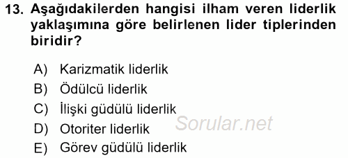 Organizasyonlarda Davranış 2015 - 2016 Ara Sınavı 13.Soru