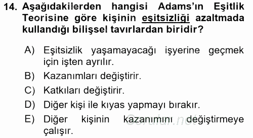 Organizasyonlarda Davranış 2015 - 2016 Ara Sınavı 14.Soru