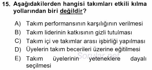 Organizasyonlarda Davranış 2015 - 2016 Ara Sınavı 15.Soru