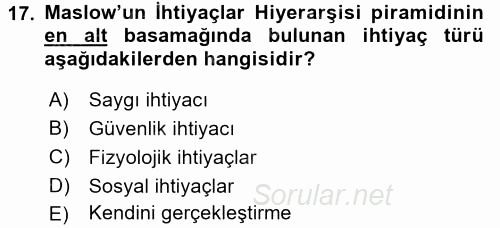 Organizasyonlarda Davranış 2015 - 2016 Ara Sınavı 17.Soru