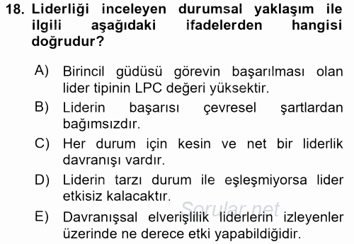 Organizasyonlarda Davranış 2015 - 2016 Ara Sınavı 18.Soru