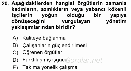 Organizasyonlarda Davranış 2015 - 2016 Ara Sınavı 20.Soru