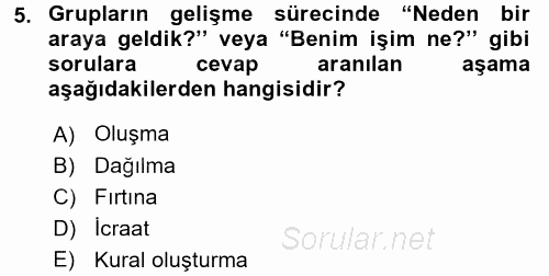 Organizasyonlarda Davranış 2015 - 2016 Ara Sınavı 5.Soru