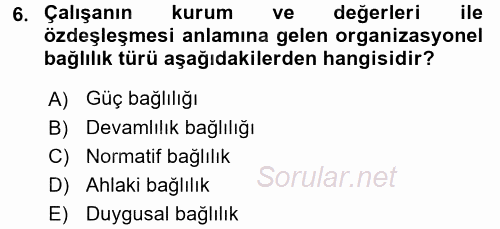 Organizasyonlarda Davranış 2015 - 2016 Ara Sınavı 6.Soru