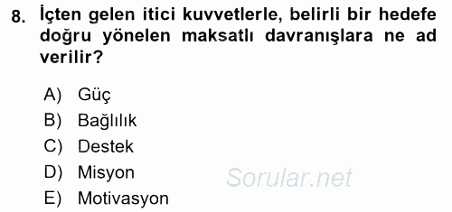 Organizasyonlarda Davranış 2015 - 2016 Ara Sınavı 8.Soru