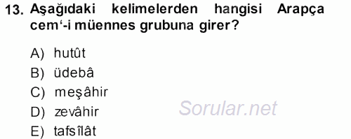 Osmanlı Türkçesi Metinleri 1 2013 - 2014 Ara Sınavı 13.Soru