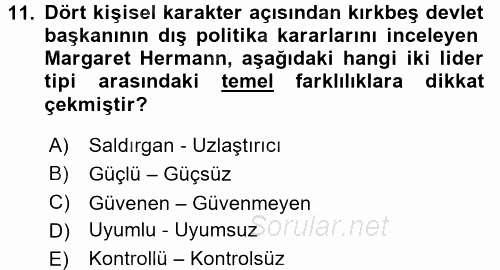 Diş Politika Analizi 2017 - 2018 3 Ders Sınavı 11.Soru