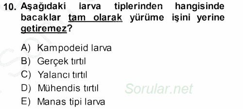 Entomoloji 2014 - 2015 Dönem Sonu Sınavı 10.Soru