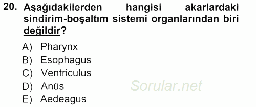 Entomoloji 2014 - 2015 Dönem Sonu Sınavı 20.Soru