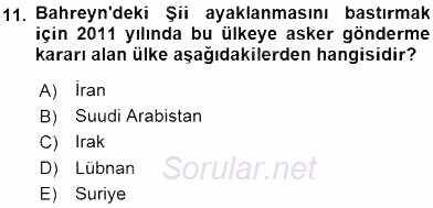 Orta Doğuda Siyaset 2015 - 2016 Tek Ders Sınavı 11.Soru