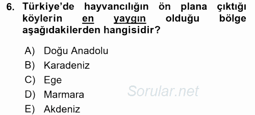 Toplumsal Yaşamda Aile 2017 - 2018 Dönem Sonu Sınavı 6.Soru