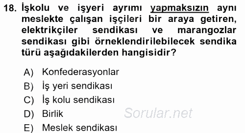 İnsan Kaynakları Yönetimi 2015 - 2016 Dönem Sonu Sınavı 18.Soru
