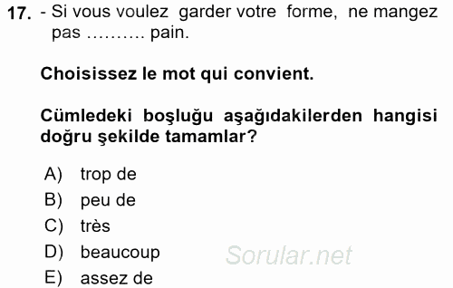 Fransızca 1 2016 - 2017 Dönem Sonu Sınavı 17.Soru