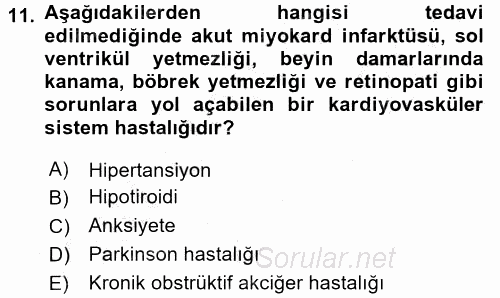 Temel İlaç Bilgisi Ve Akılcı İlaç Kullanımı 2016 - 2017 Ara Sınavı 11.Soru