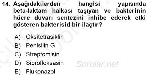 Temel İlaç Bilgisi Ve Akılcı İlaç Kullanımı 2016 - 2017 Ara Sınavı 14.Soru