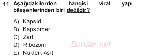 Genel Biyoloji 1 2013 - 2014 Dönem Sonu Sınavı 11.Soru