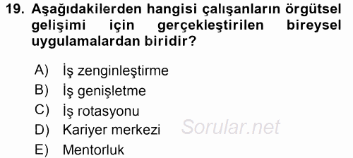 Performans ve Kariyer Yönetimi 2016 - 2017 3 Ders Sınavı 19.Soru