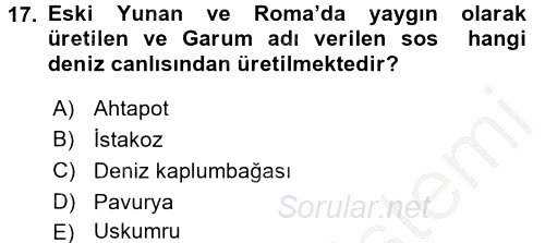 Gastronomi Tarihi 2016 - 2017 Ara Sınavı 17.Soru