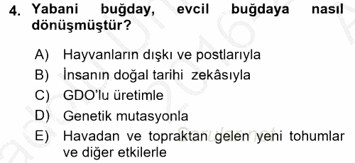 Gastronomi Tarihi 2016 - 2017 Ara Sınavı 4.Soru