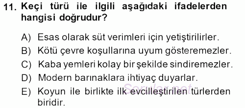 Hayvan Yetiştirme 2013 - 2014 Tek Ders Sınavı 11.Soru