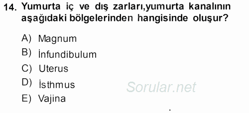 Hayvan Yetiştirme 2013 - 2014 Tek Ders Sınavı 14.Soru