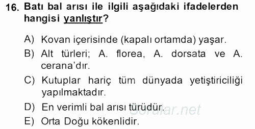 Hayvan Yetiştirme 2013 - 2014 Tek Ders Sınavı 16.Soru