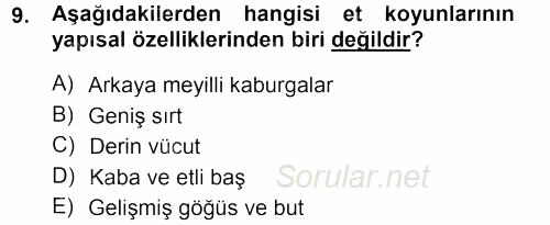 Hayvan Yetiştirme 2013 - 2014 Tek Ders Sınavı 9.Soru