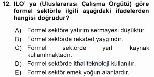 Ekonomi Sosyolojisi 2017 - 2018 3 Ders Sınavı 12.Soru