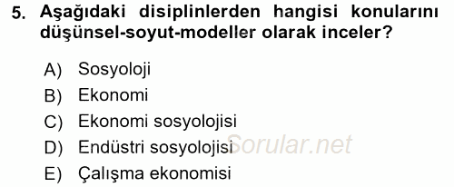 Ekonomi Sosyolojisi 2017 - 2018 3 Ders Sınavı 5.Soru