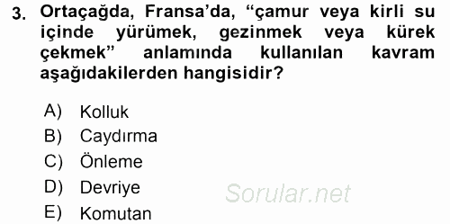 Suç Önleme Modelleri 2017 - 2018 Dönem Sonu Sınavı 3.Soru