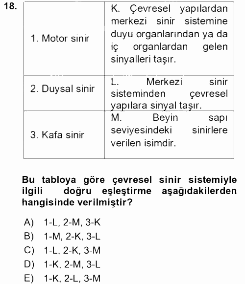 Psikoloji 2017 - 2018 Ara Sınavı 18.Soru