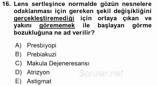 Yaşlı Psikolojisi 2017 - 2018 Ara Sınavı 16.Soru