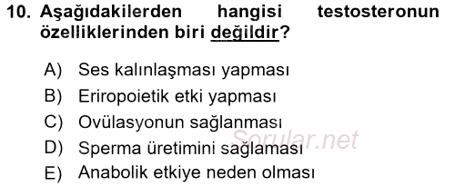 Temel Veteriner Farmakoloji ve Toksikoloji 2015 - 2016 Ara Sınavı 10.Soru