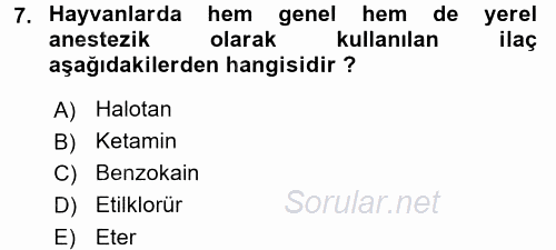 Temel Veteriner Farmakoloji ve Toksikoloji 2015 - 2016 Ara Sınavı 7.Soru