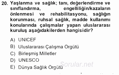 Sosyal Hizmet Kuruluşları 2014 - 2015 Ara Sınavı 20.Soru