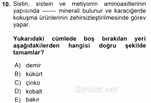 Temel Veteriner Biyokimya 2017 - 2018 Dönem Sonu Sınavı 10.Soru